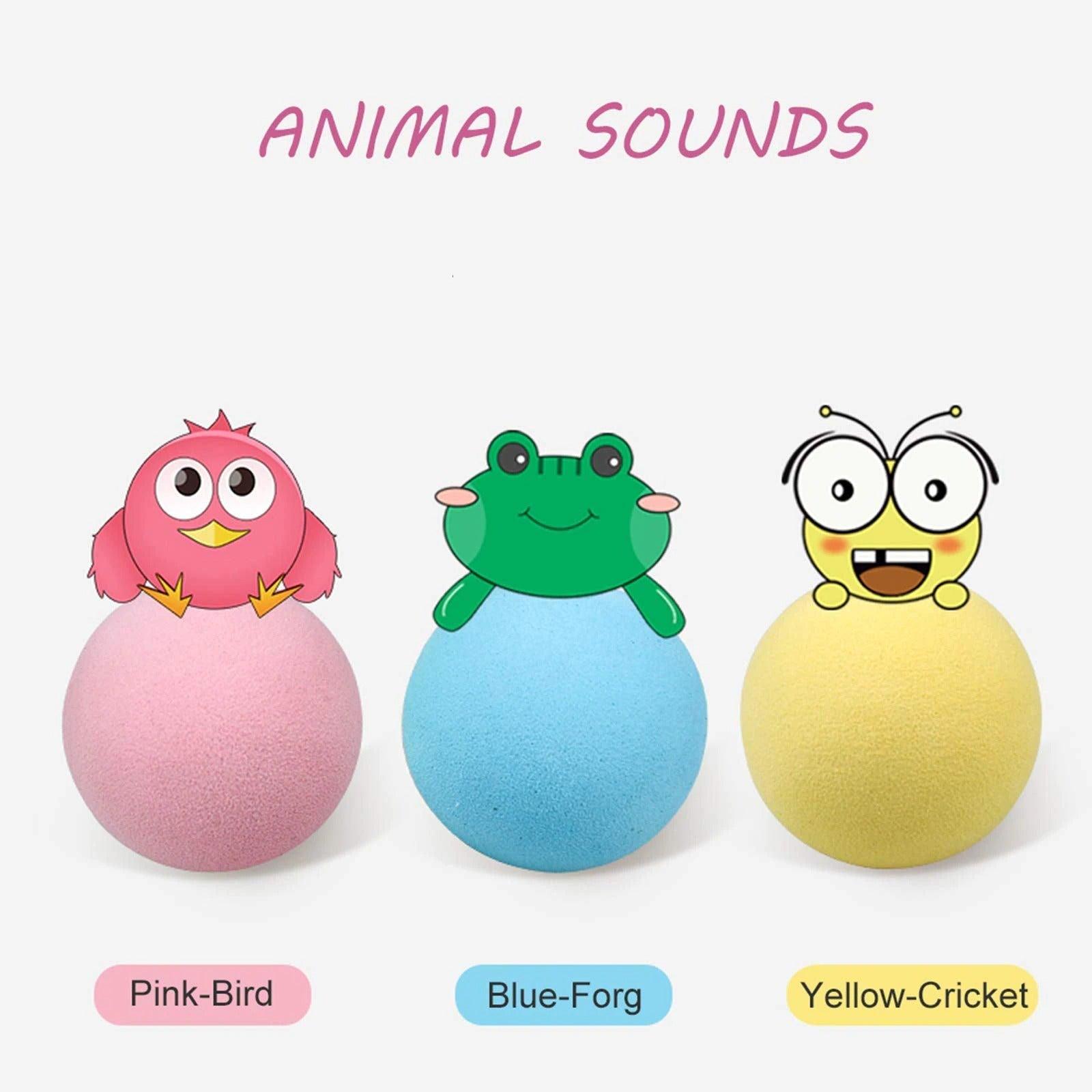 Catnip Training Ball Cat Toy