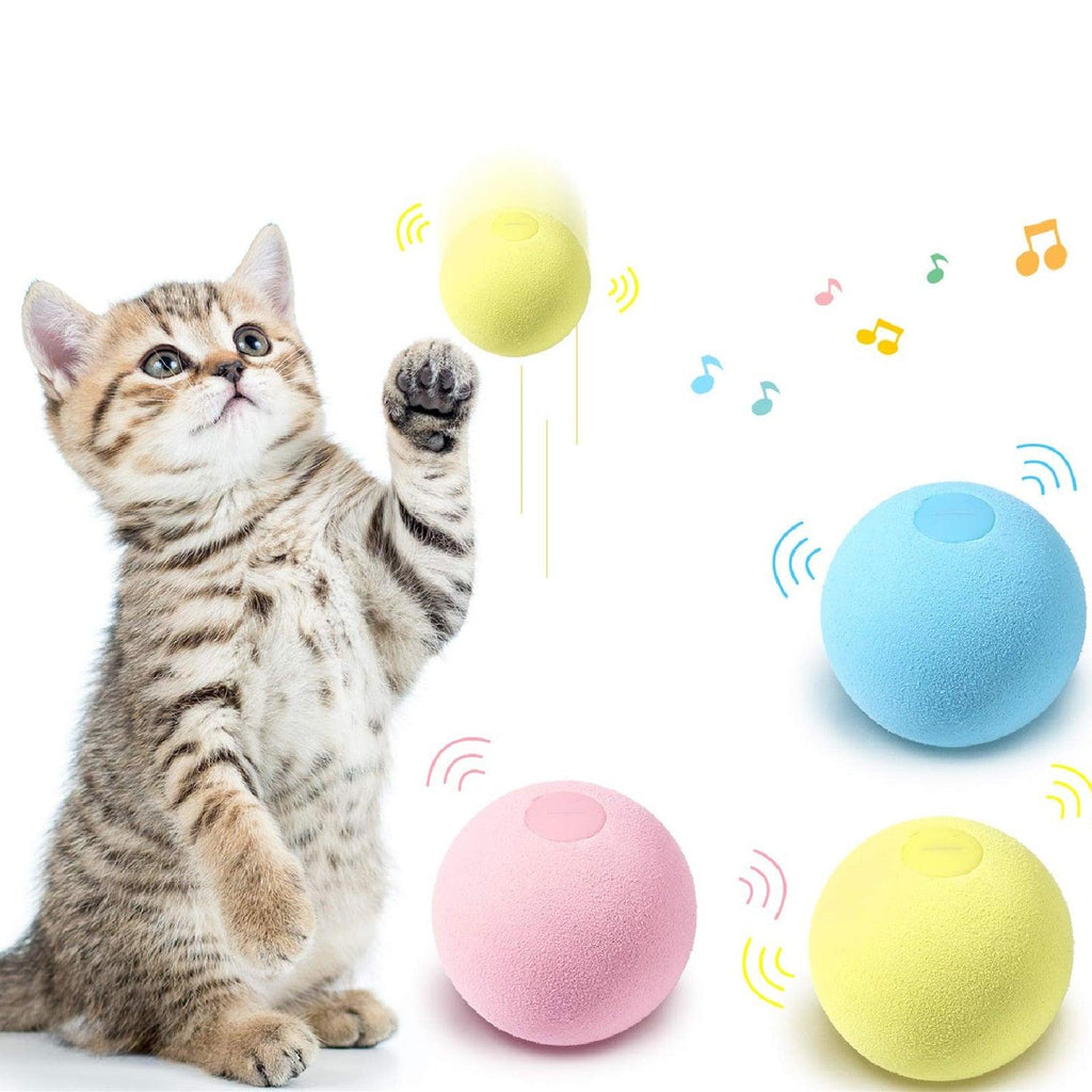 Catnip Training Ball Cat Toy