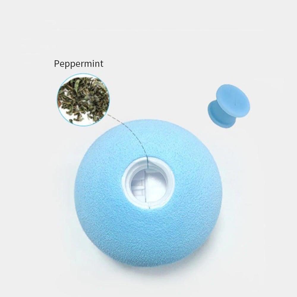 Catnip Training Ball Cat Toy