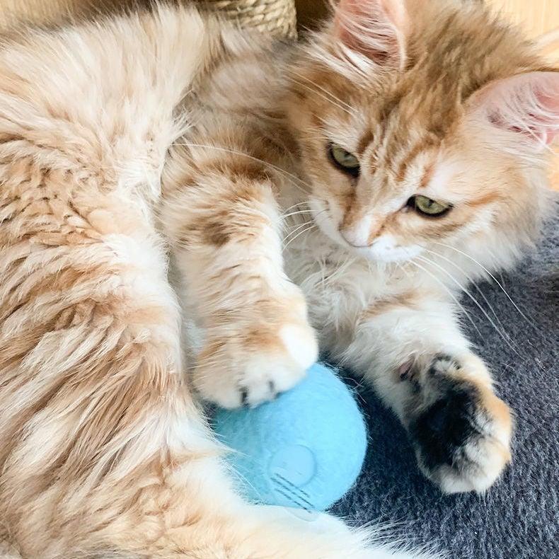 Catnip Training Ball Cat Toy