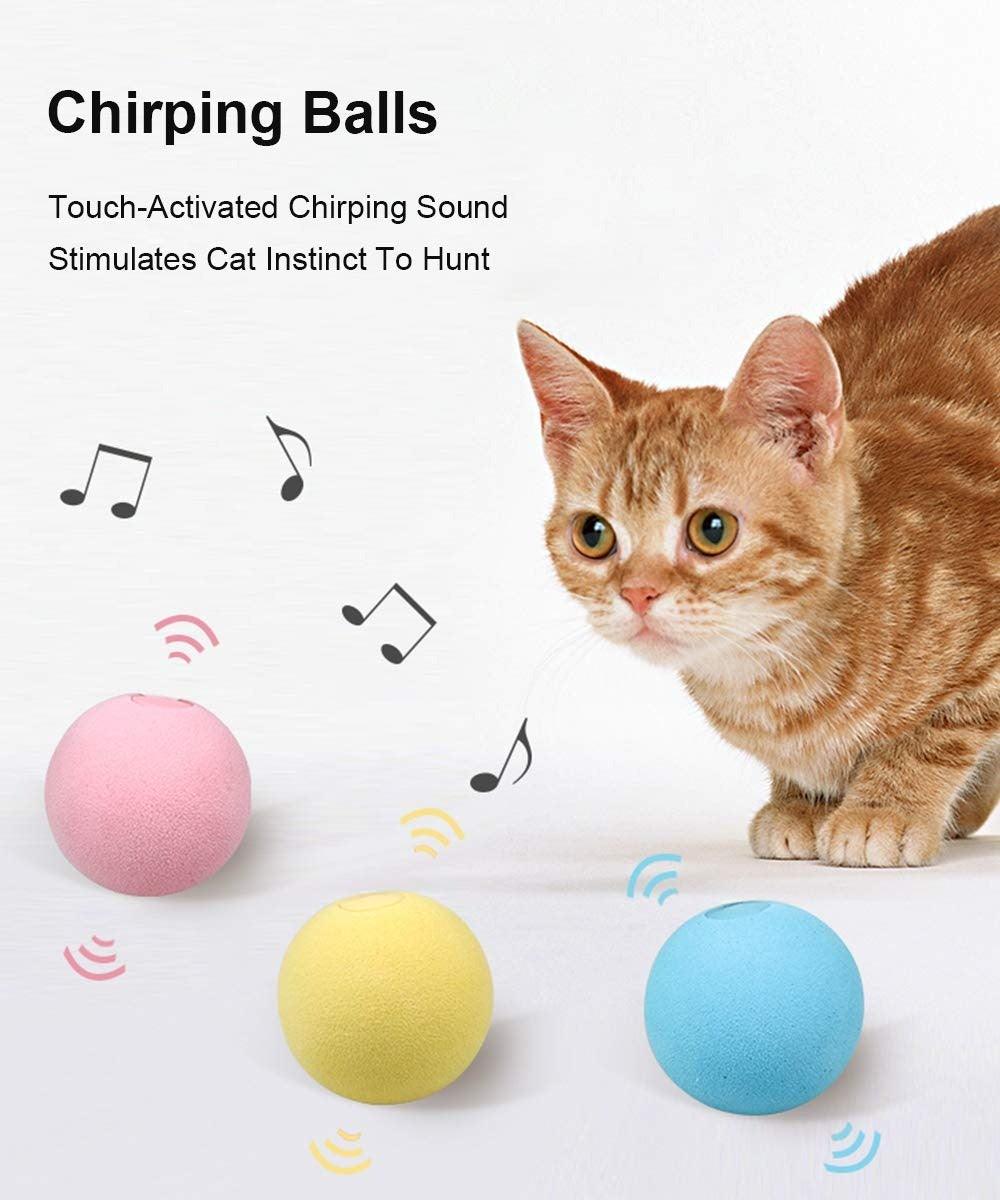 Catnip Training Ball Cat Toy