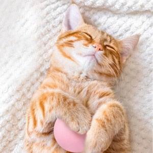 Catnip Training Ball Cat Toy