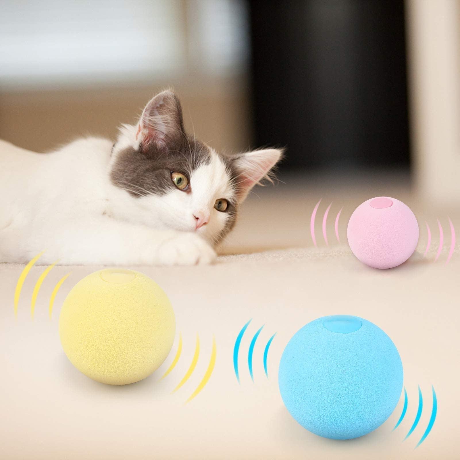 Catnip Training Ball Cat Toy