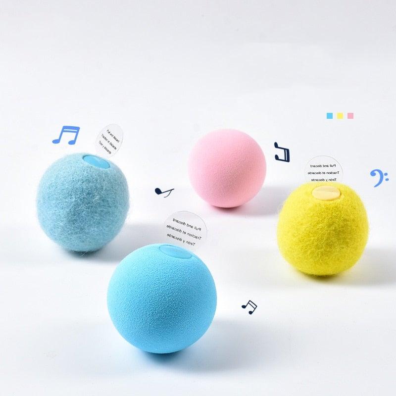 Catnip Training Ball Cat Toy