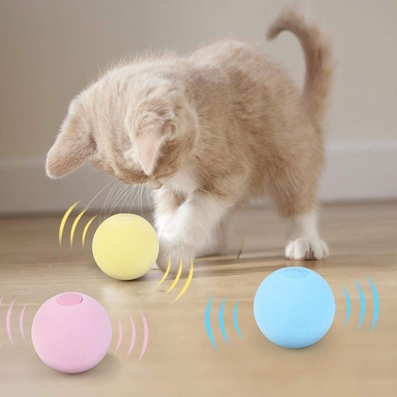 Catnip Training Ball Cat Toy