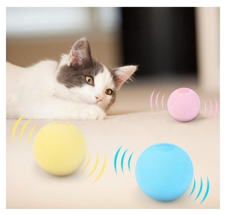 Chirping Catnip Interactive Ball Cat Toy