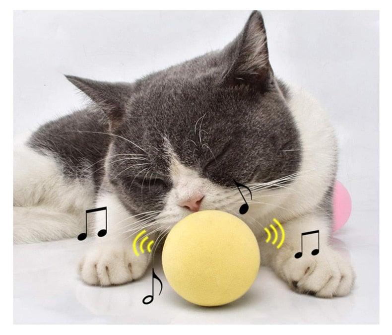 Chirping Catnip Interactive Ball Cat Toy