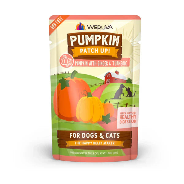 Weruva Pumpkin Ginger Turmeric Pet Pouch 1.05oz